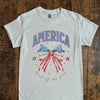 America Land Of The Free Graphic Tee